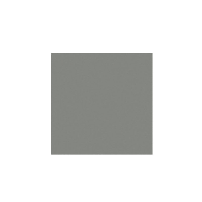 Modern Gray Sample Door 6x6